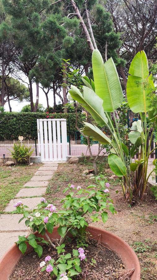 Villino Sunshine S8989 Villa Santa Margherita di Pula Eksteriør billede